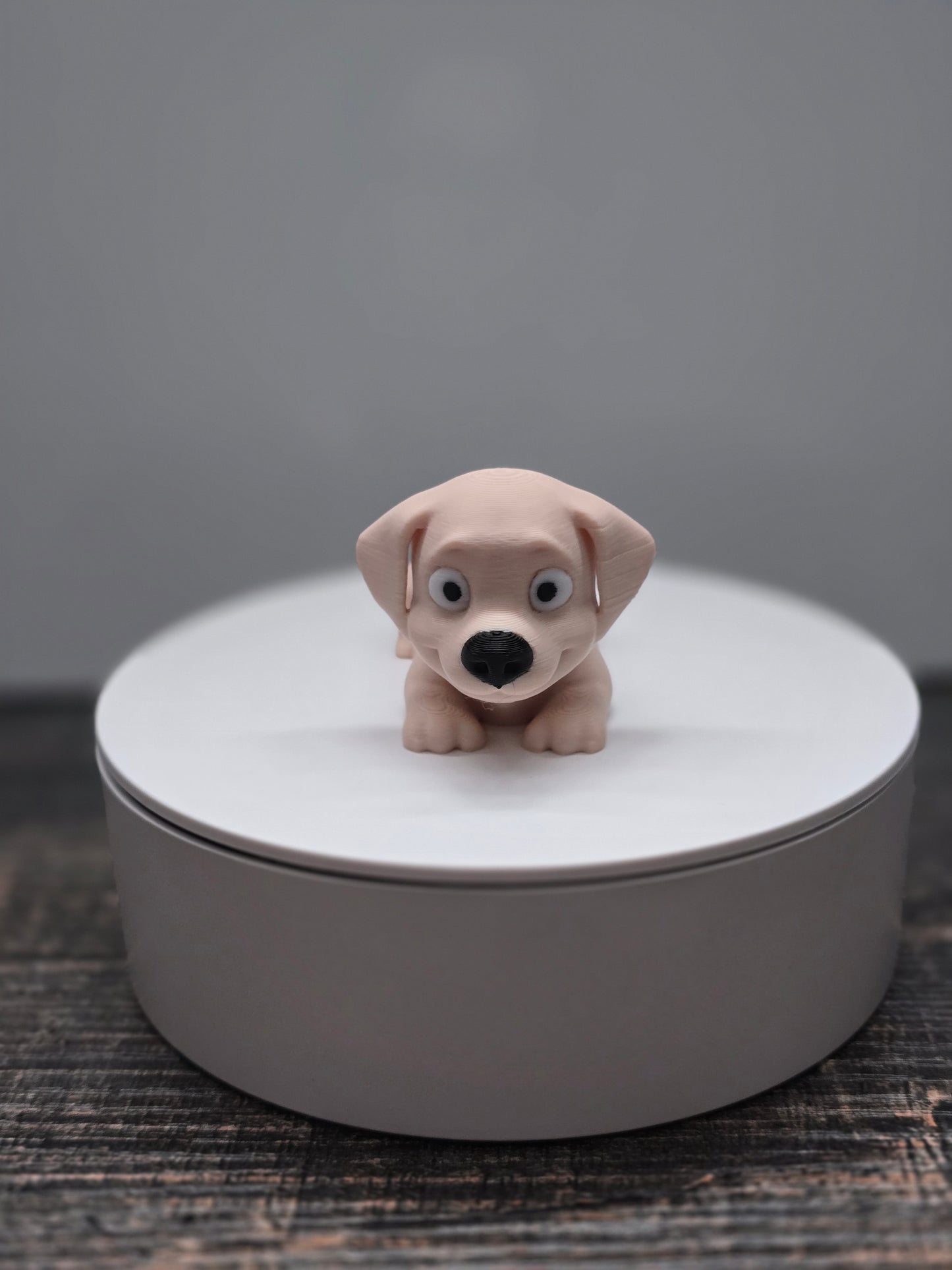 Pocket Friend - Golden Labrador