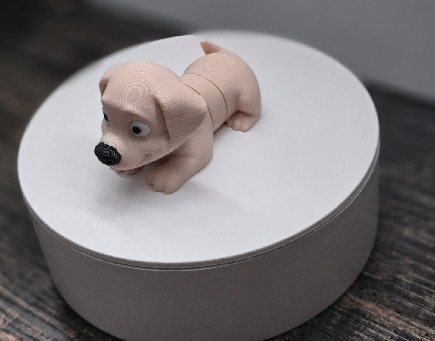 Pocket Friend - Golden Labrador