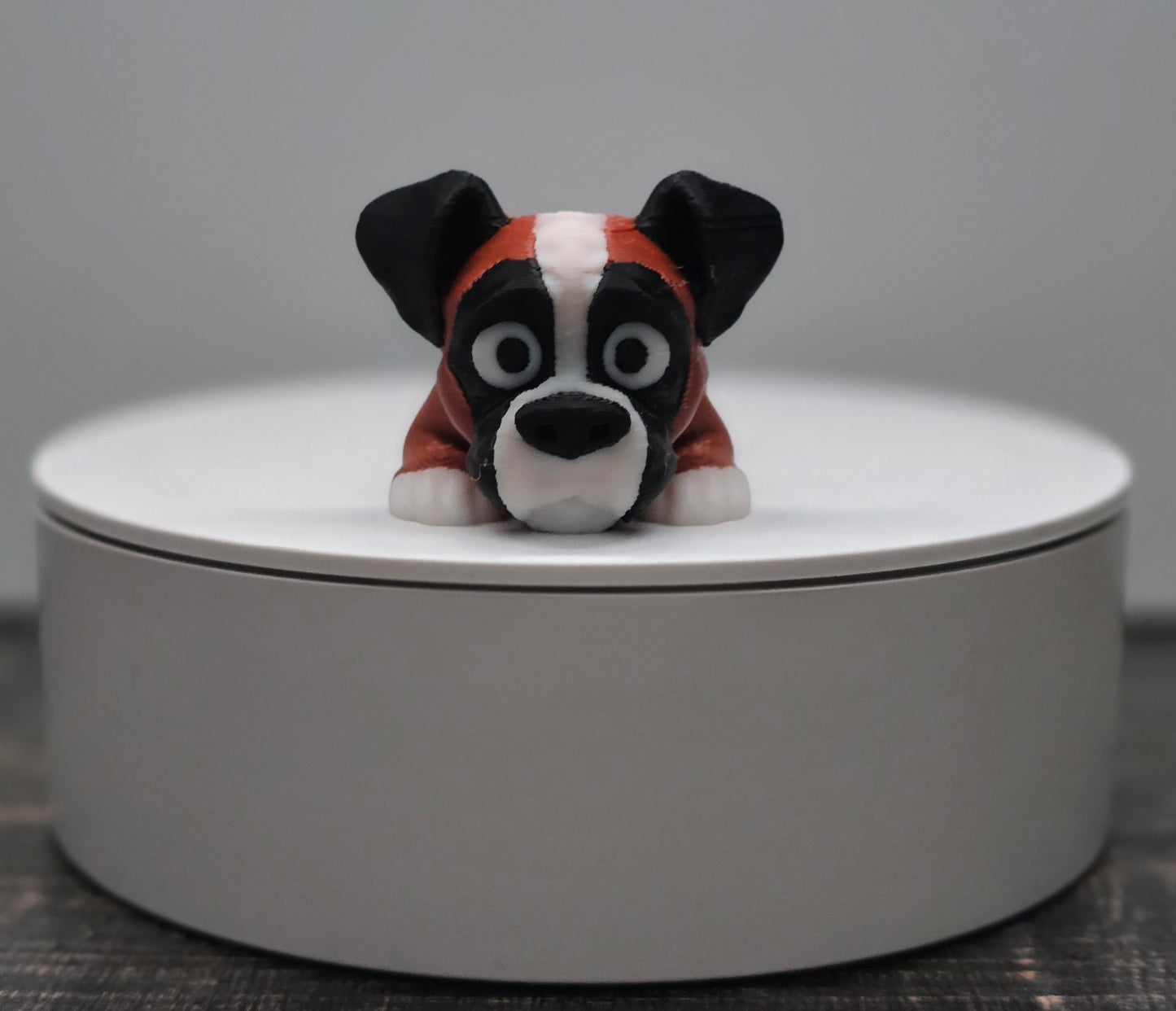 Pocket Friend - Boxer