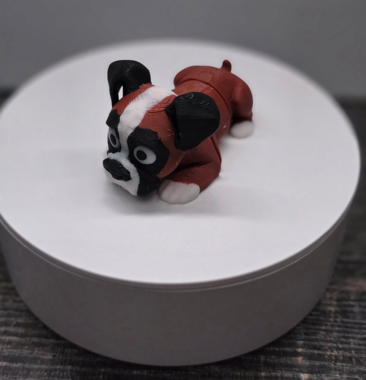 Pocket Friend - Boxer