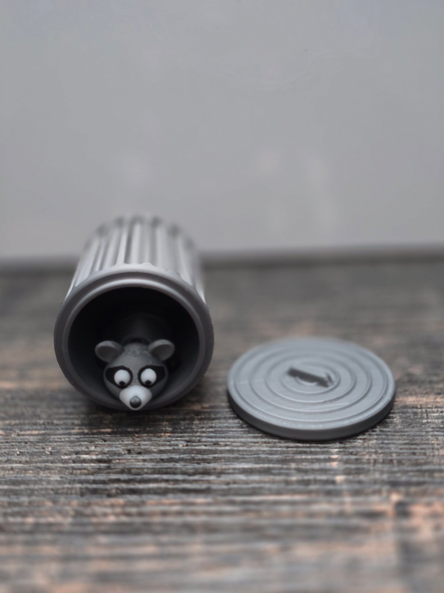 Pocket Friend - Raccoon with Trashcan (Trash Panda)