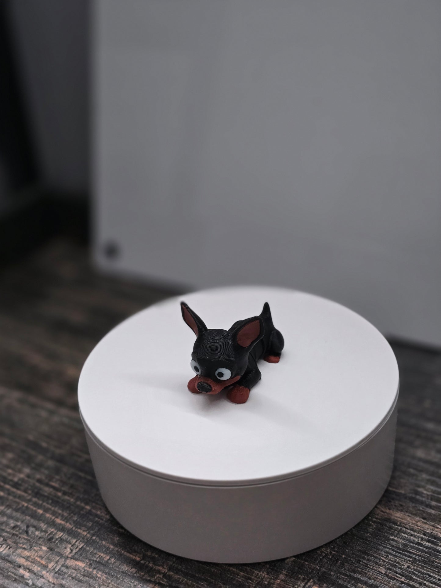 Pocket Friend - Chihuahua