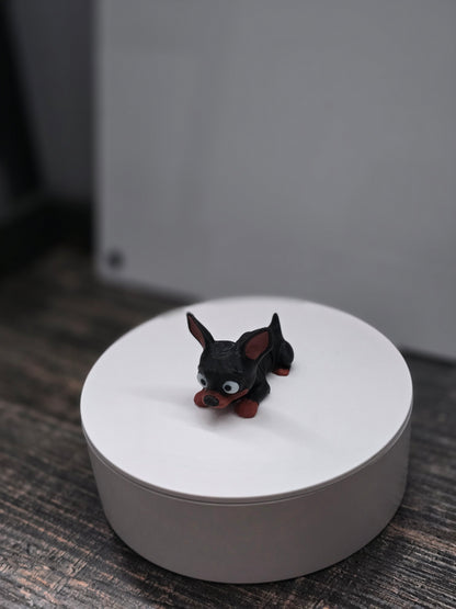 Pocket Friend - Chihuahua