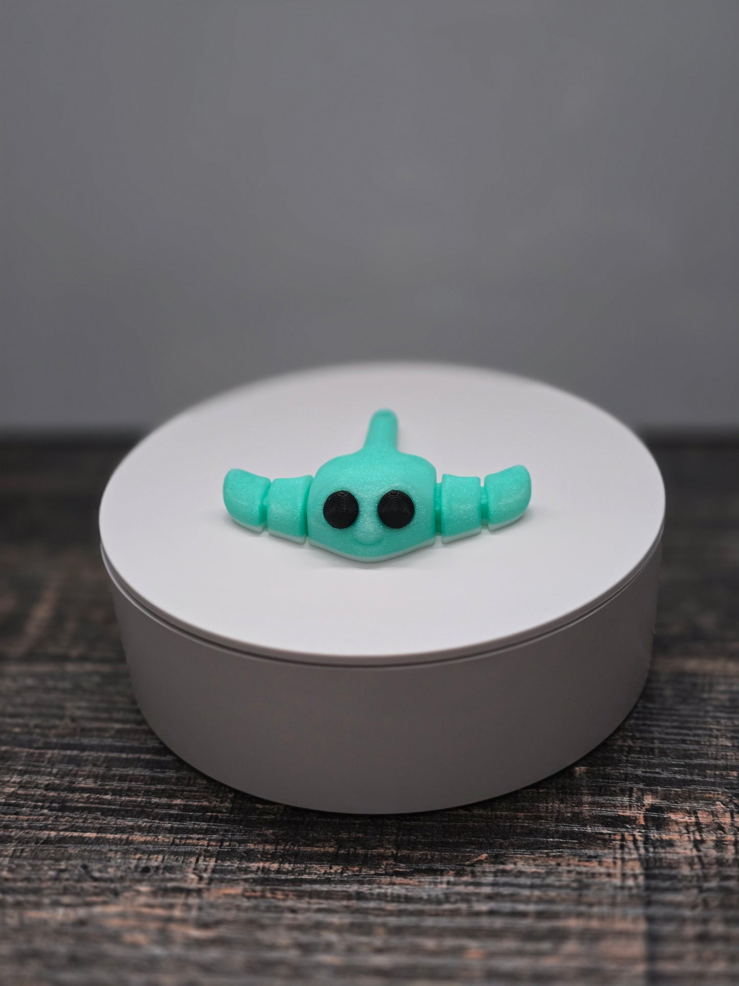 Pocket Friend - Stingray