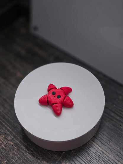 Pocket Friend - Starfish