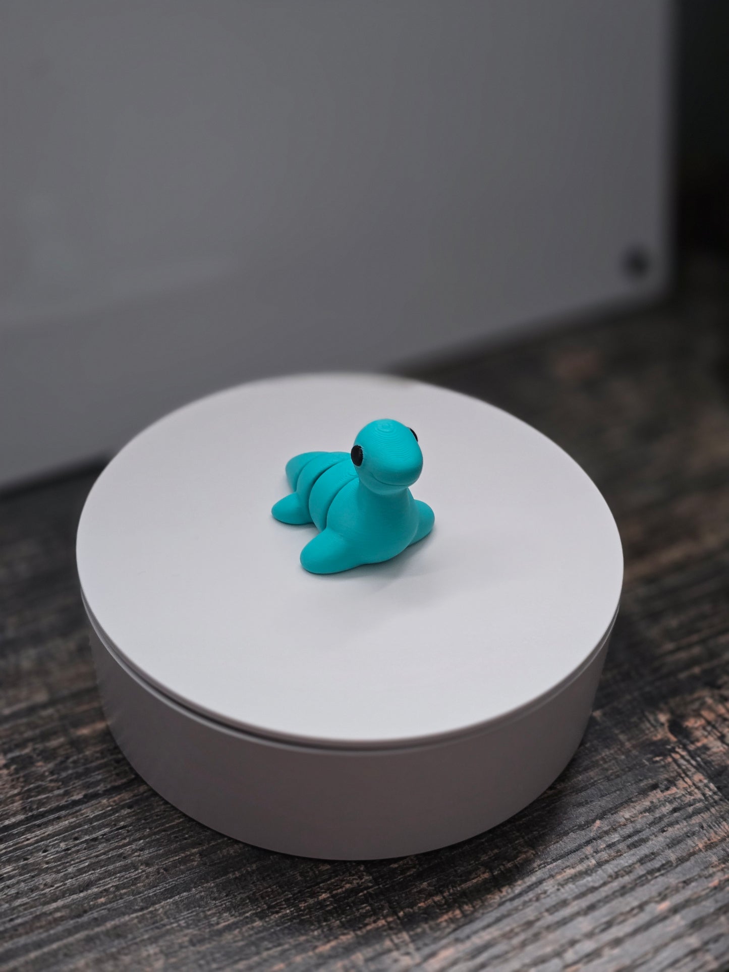 Pocket Friend - Loch Ness