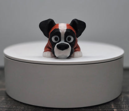 Pocket Friend - Boxer