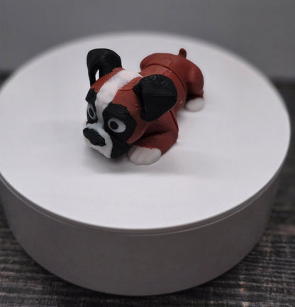 Pocket Friend - Boxer