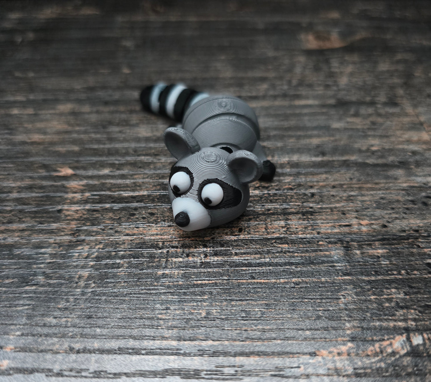 Pocket Friend - Raccoon