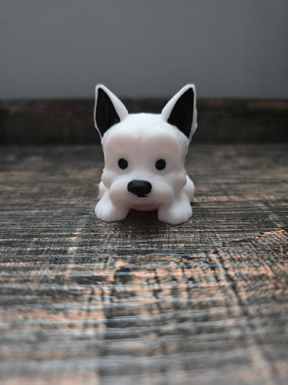 Pocket Friend - Mini Schnauzer