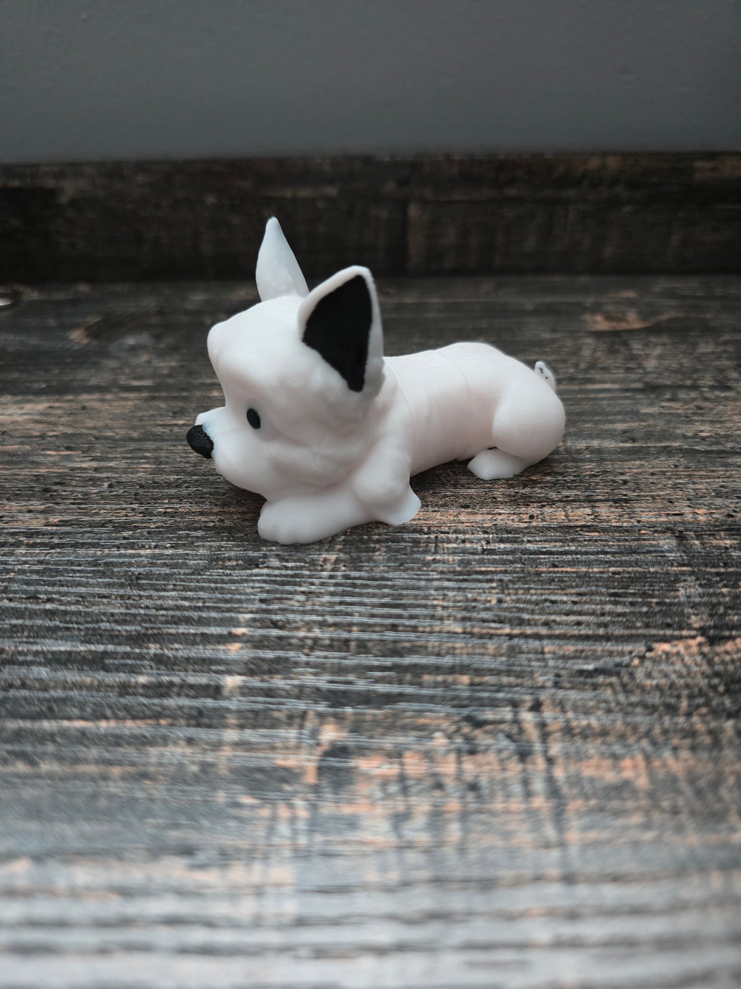 Pocket Friend - Mini Schnauzer